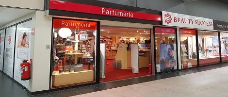 Beauty Success Group : Perspectives 2019