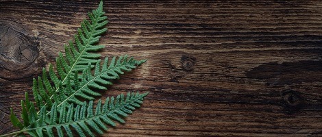 Rejoindre la franchise Bureau Vallée, c’est entreprendre au sein d’un réseau responsable