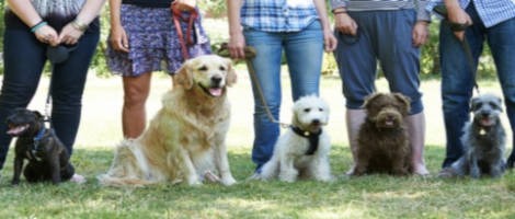 Les points de vente de Rennes et Bordeaux de l’enseigne Canibest fêtent leur première année d’activité &amp; un nouveau franchisé fait son entrée à Lyon