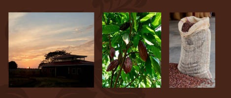 Rejoindre Yves Thuriès en franchise : le budget à prévoir !