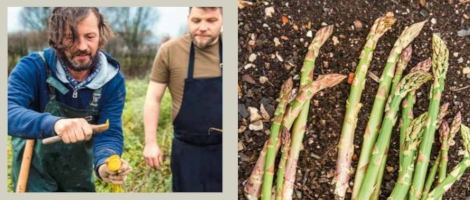 Parution du 2ème catalogue de l’enseigne Culinarion