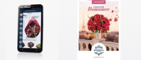 Franchise Monceau Fleurs : Des moyens de communication puissants