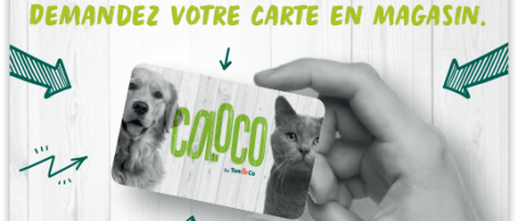 L’enseigne Tom&amp;Co lance une nouvelle carte de fidélité avec plein de nouveaux avantages