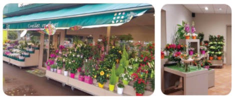 Le point de vente de Mérignac Le Jardin des Fleurs est repris par Martine Audibert