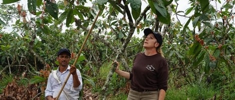 Une responsable de boutique Yves Thuriès se confie sur son immersion au sein de la plantation de cacao de San Fernando