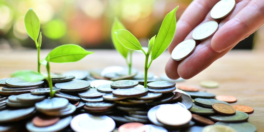 Combien coûte une franchise : l