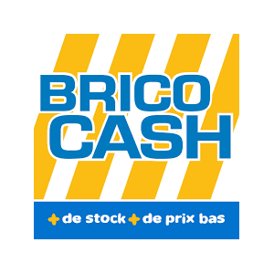 Logo Franchise Brico Cash