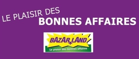 Rejoindre le réseau Bazarland : Quel est le profil requis ?