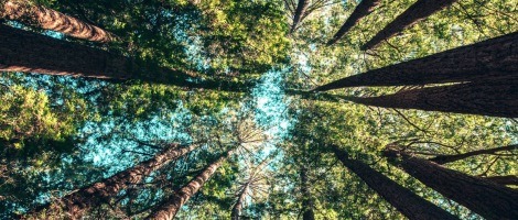 Bureau Vallée : Un développement dans le respect de l’environnement !