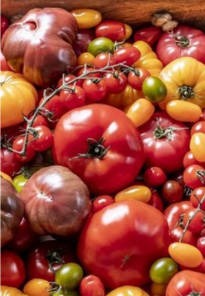 La franchise Naturalia obtient la certification B-Corp