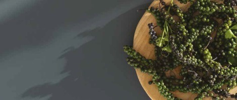 Franchise Perene : Focus sur Le Green Concept Perene