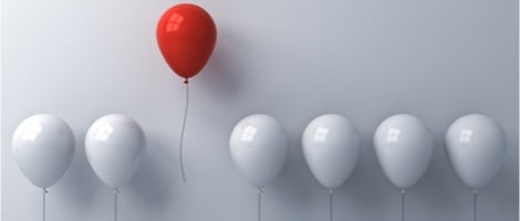 Créer son entreprise en franchise ou en solo : quelles différences ?