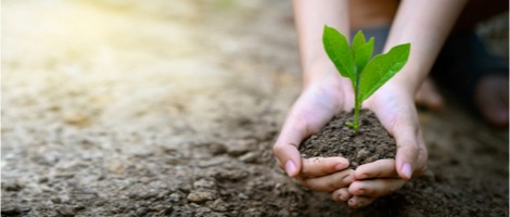 Ouvrir un magasin bio, quelles opportunités en franchise ?