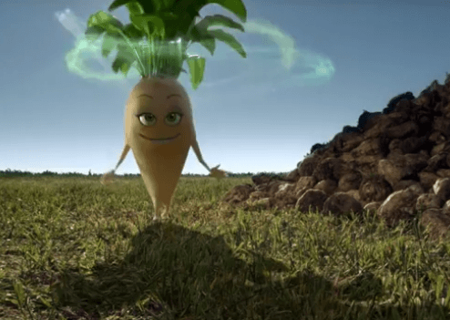 bioéthanol, biocarburant produit à partir de céréales (blé, maïs…) ou de betteraves à sucre