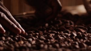 Leonidas, du chocolat 100 % pur beurre de cacao