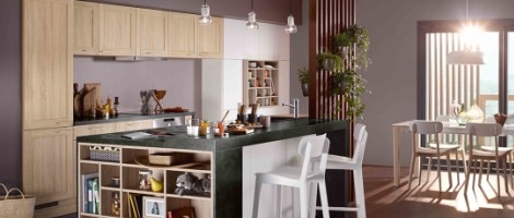 Franchise Mobalpa : Focus sur la tendance « Retour à la Nature » !