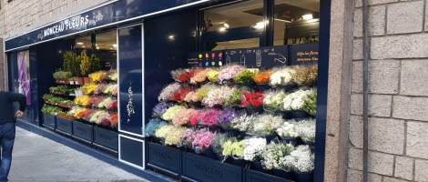 Fleuriste de métier ? Ouvrez une franchise Monceau Fleurs !