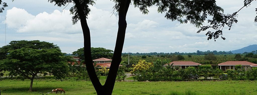 plantation de San Fernando - Franchise Yves Thuriès