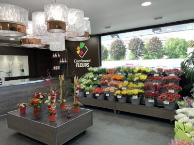 Pour 2020, Carrément Fleurs se met au « Digital »