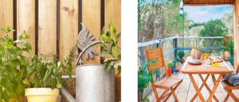 Jardiland et Too Good To Go redonnent une seconde vie aux plantes