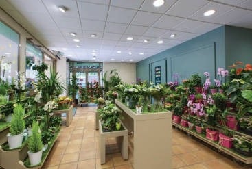 Nouveau décor Le jardin des fleurs