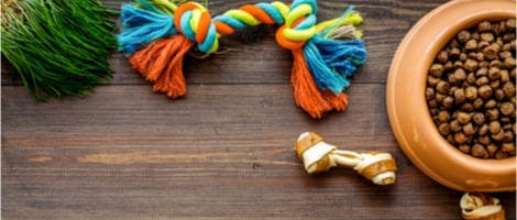 Ouvrir une franchise d&rsquo;alimentation pour animaux, est ce possible ?