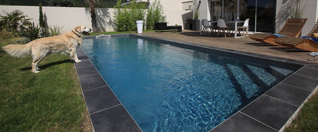 Piscine creusée Bora en Ardèche - Chien Polochon