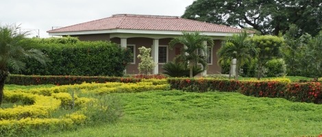 Franchise Yves Thuriès : Focus sur l’Expérience Récoltant !