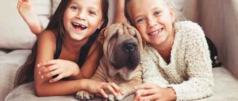 Tom&Co propose 4 solutions pour une vie solidairement confinée