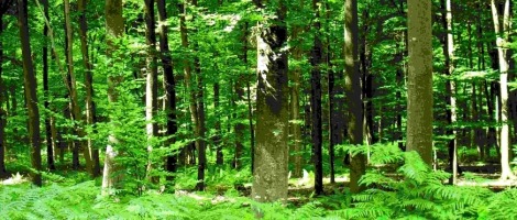 JØTUL, des produits respectant des critères environnementaux très stricts