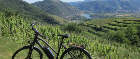 La franchise Stations Bee&rsquo;s s’enrichit de trois nouvelles adresses