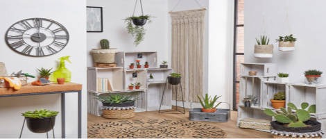 2020 : Une belle année en perspective pour la franchise Centrakor