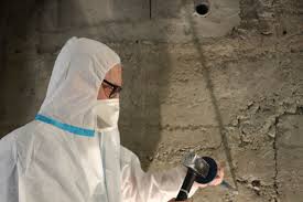 Le réseau de concessionnaires QualiCe annonce la reprise de ses activités