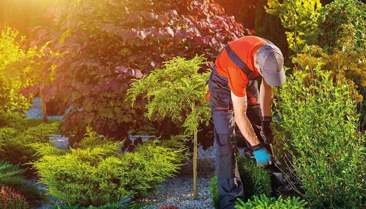 Aquilus recrute des indépendants dans le secteur du paysage