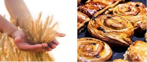 La franchise L’atelier des Papilles présente son concept