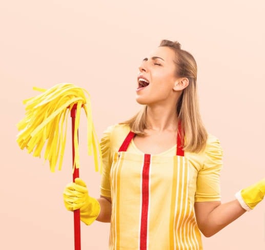 femme de ménage Hubliss