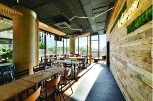 Les projets de la franchise Bioburger