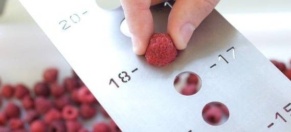 mesures sanitaire Picard