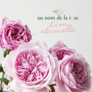 réouvertures réseau au nom de la rose