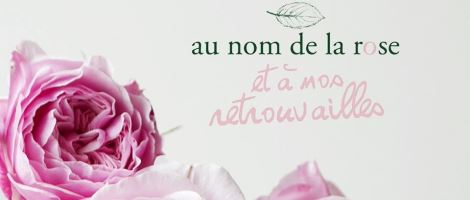Le réseau Au nom de la Rose rouvre ses boutiques et change de logo !