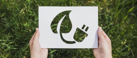 Réseau Biocoop : Journée mondiale de l’environnement