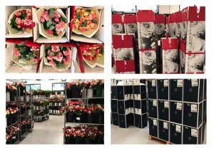 atelier monceau fleurs emova group