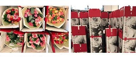 Emova Group déménage son atelier à Issy-les-Moulineaux