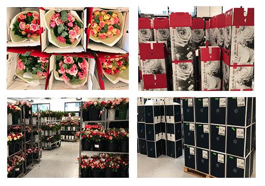 atelier monceau fleurs emova group