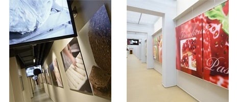 Franchise Fischer : Focus sur son parcours du pain « Broutgaass »