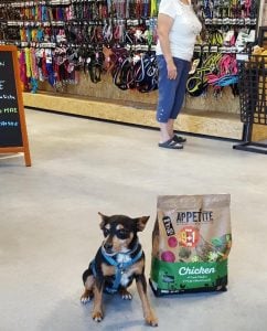 magasin Tom & Co Lanester