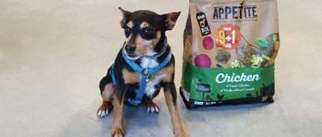 Une nouvelle franchise Tom &amp; Co ouvre ses portes à Lanester