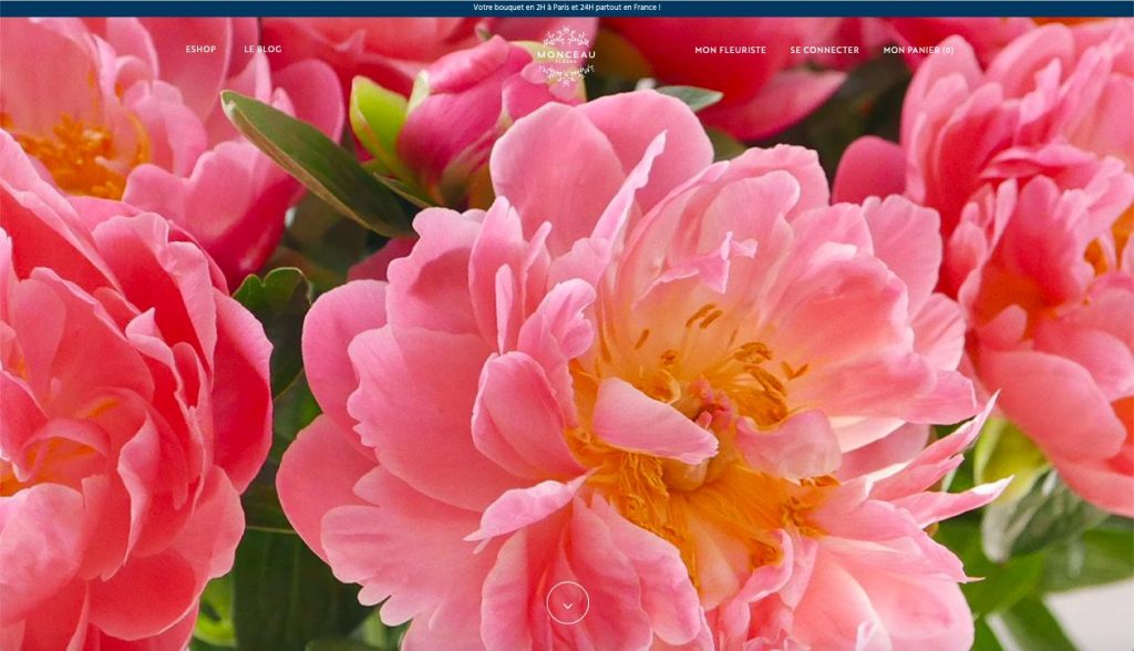 Nouveau site Monceau Fleurs - page d