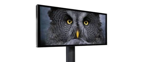 Le réseau WINLIGHT International lance WINLIGHT Medias