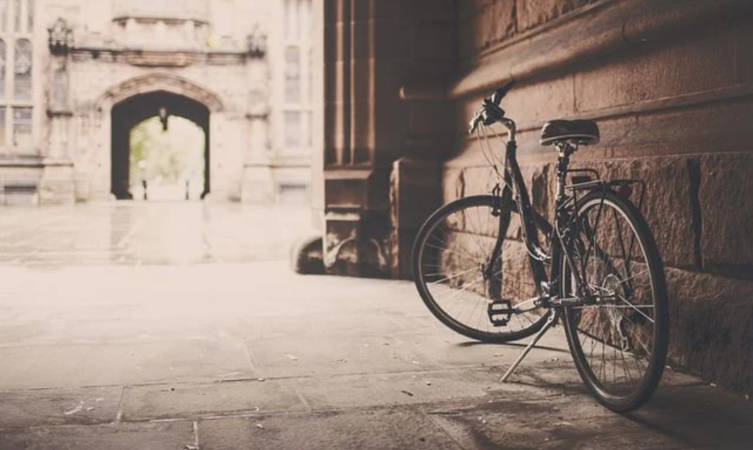 activité sportive Intersport